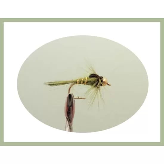 30 Mixed Goldhead Nymph - 5 Named Varieties