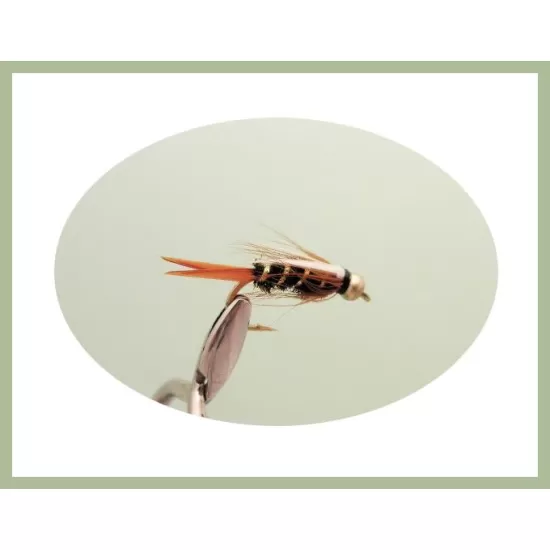 30 Mixed Goldhead Nymph - 5 Named Varieties