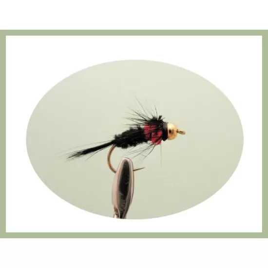 30 Mixed Goldhead Montana Nymph