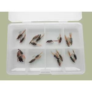 Comp Box - 20 Diawl Bach Flies