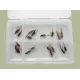 Comp Box - 20 Barbless Diawl Bach Flies