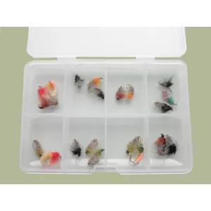 Comp Box - 20 Czech Nymph