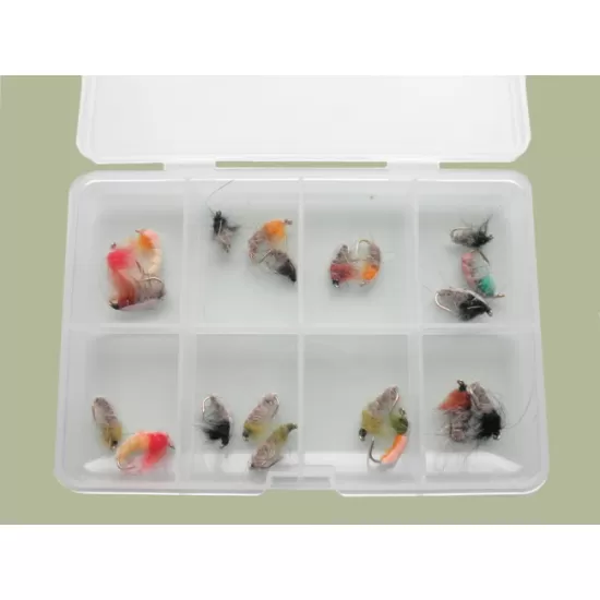 Comp Box - 20 Czech Nymph