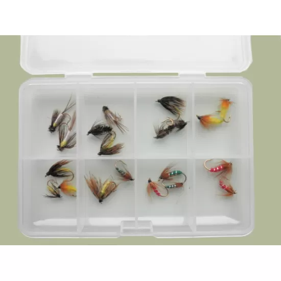 Comp Box - 20 Mixed Caddis and Sedge Nymph Flies