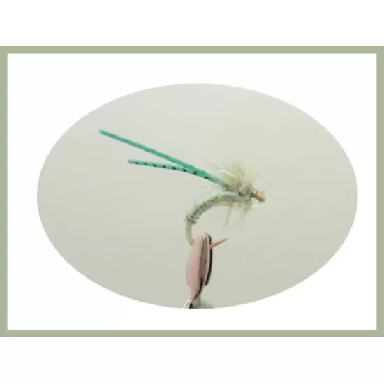 18 Coloured Stalking Bugs