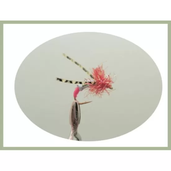 18 Coloured Stalking Bugs