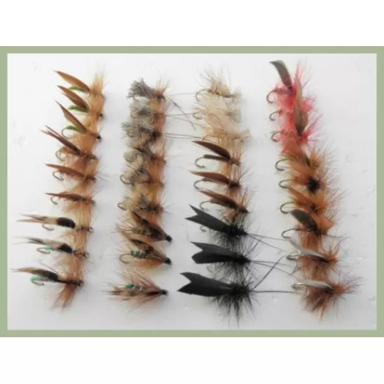 36 Sedge Flies - Bumper selection