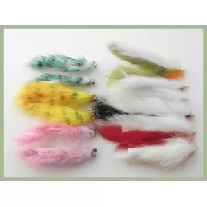 12 Two Tone Zonkers and Tiger Zonkers