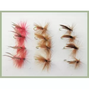 12 Sedge Dries, Great Red, Walkers and Cinnamon