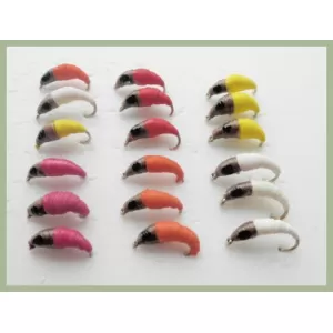 18 Maggot, Mixed Colours