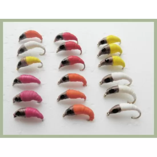 18 Maggot, Mixed Colours