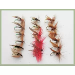 18 Sedge, 5 Varieties