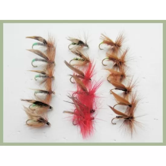 18 Sedge, 5 Varieties