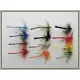 12 Coloured Dragon Fly Damsel