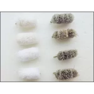 8 Mullet / Bread Flies