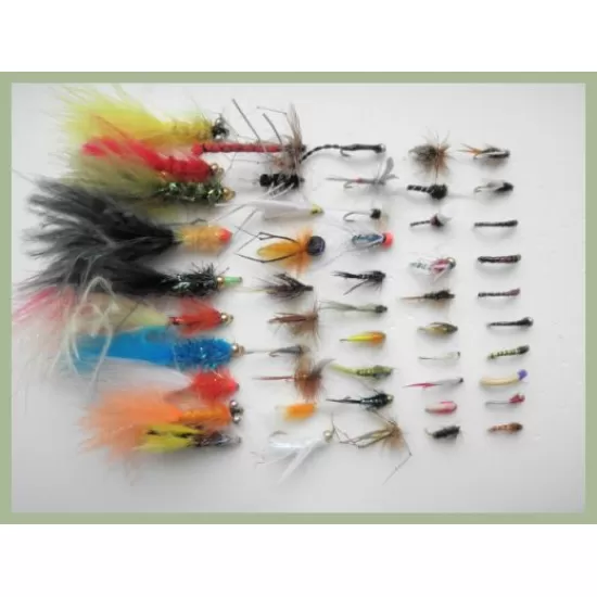 50 Mixed Flies