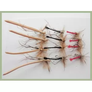 12 BARBLESS Daddys, Detached and Foam