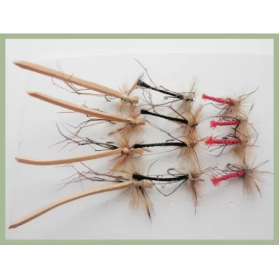 12 BARBLESS Daddys, Detached and Foam