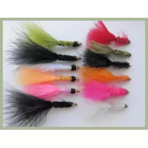 12 Goldhead Tadpole and Woolly Bugger