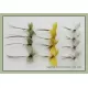 12 Drake Mayflies - Yellow, Green, Grey