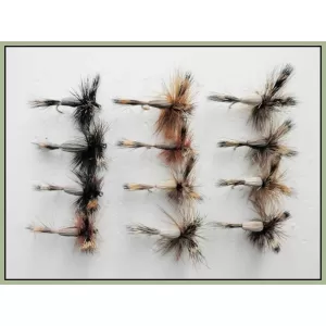 12 Mixed Colour Humpy