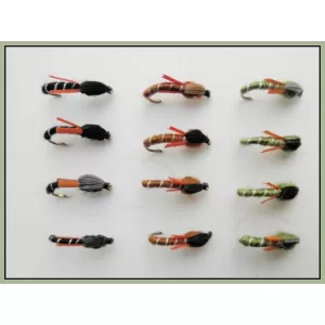 12 Biot Buzzer - Mixed Colours