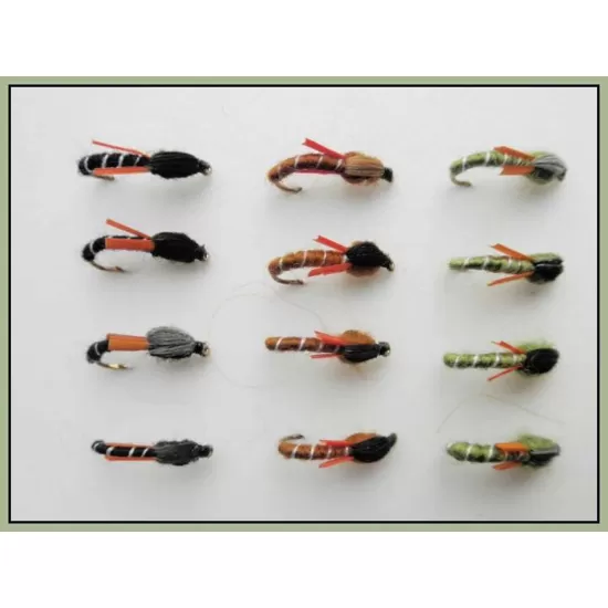 12 Biot Buzzer - Mixed Colours