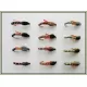 12 Biot Buzzer - Mixed Colours