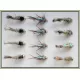 12 Goldhead Nymph - Hares Ear Standard, Hares Ear Flash body, Evil Weevil