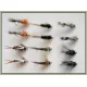 12 Goldhead Nymph - 6 Varieties