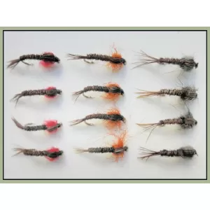 12 Coves Pheasant Tail, Orange, Natural & Red