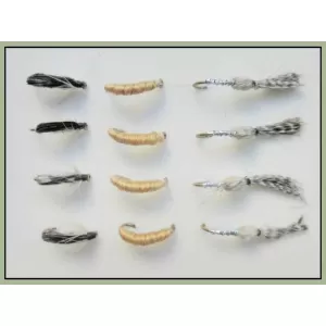 12 Nymph, Caenis,Corixa & Sawyers