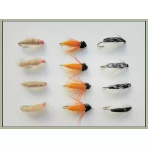 12 Nymph, Aylotts,Corixa & Killer Bug