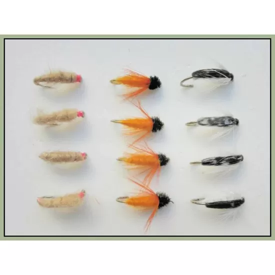 12 Nymph, Aylotts,Corixa & Killer Bug