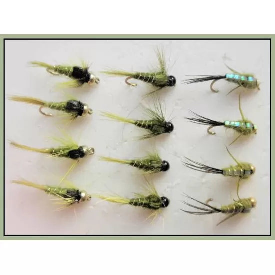 12 Goldhead Nymph - OLIVES -Evil weevil, Tungstens, Goldheads