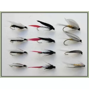 12 Wet Flies - Coachman. Butcher & Grey Monkey