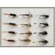 12 Goldhead Nymphs - Diawl bach, Flash Pheasant, Black Pennel