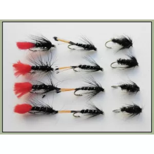 12 Wet Flies - Zulu, Black & Peacock & Black Pennell