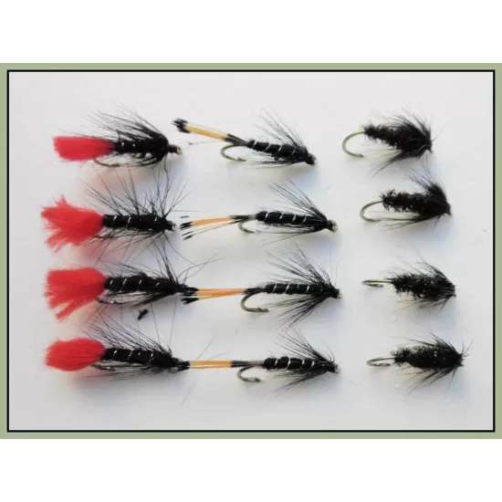 12 Wet Flies - Zulu, Black & Peacock & Black Pennell