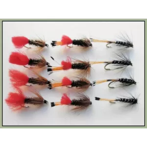 12 Wet Flies - Ke he, Red tag & Black Pennell