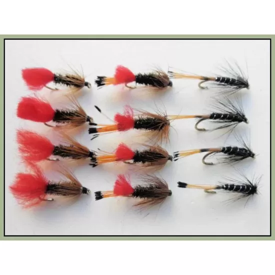 12 Wet Flies - Ke he, Red tag & Black Pennell