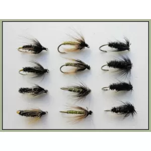 12 Wet Flies - Black & Peacock, Coch y bondhu & Greenwell Hackled