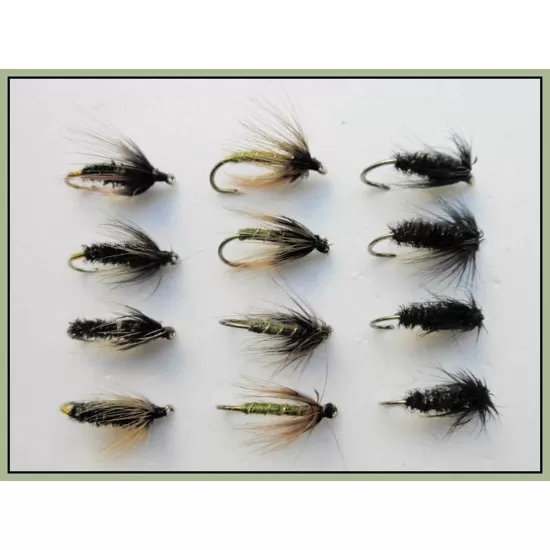 12 Wet Flies - Black & Peacock, Coch y bondhu & Greenwell Hackled