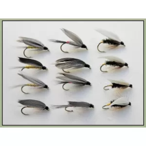 12 Wet Flies - Coachman,Iron Blue & Grey Monkey
