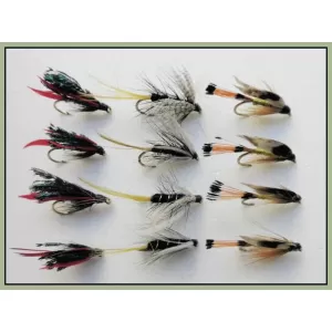 12 Wet Flies - Kate Mcclaren,Alexandra & Woodcock