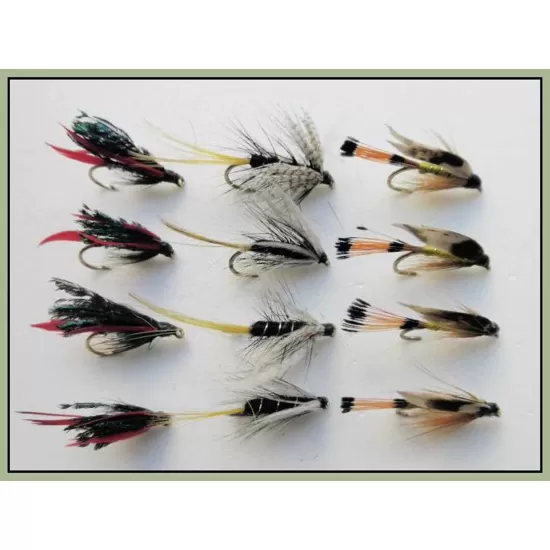 12 Wet Flies - Kate Mcclaren,Alexandra & Woodcock