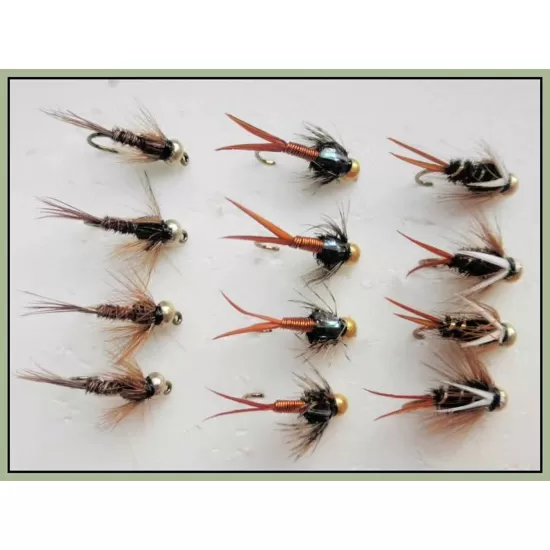 12 Goldhead Nymph - Prince,PTN,Copper John