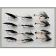 12 Wet Flies - Peter Ross,Black Pennel, Magpie & Silver