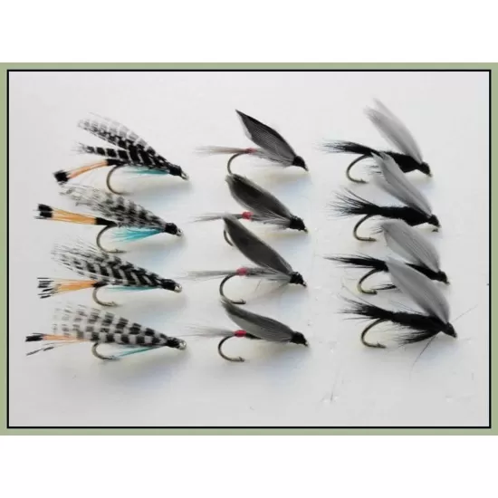 12 Wet Flies - Teal Blue, Iron Blue, Black Gnat
