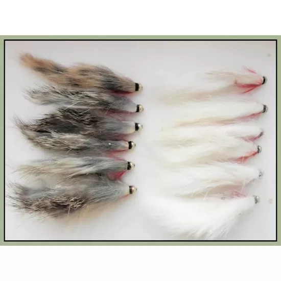 12 Goldhead Zonkers, Natural and White